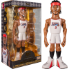 NBA Basketball - Allen Iverson Philadelphia 76ers 12 Inch Gold Premium Vinyl Figure