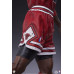 NBA Basketball - Michael Jordan 1/4th Scale Statue