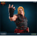 Street Fighter - Ken Masters 1/4 Scale Statue