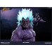 Street Fighter IV - Oni Akuma 1/4 Scale Statue