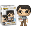 Harry Potter - Harry Potter with Cake Pop! Vinyl Figure