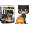 DC Comics - Catwoman with Pumpkin Pop! Vinyl Figure