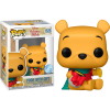 Winnie the Pooh - Pooh with Gift Pop! Vinyl Figure