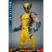 Deadpool & Wolverine (2024) - Wolverine 1/6th Scale Hot Toys Action Figure