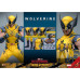 Deadpool & Wolverine (2024) - Wolverine 1/6th Scale Hot Toys Action Figure