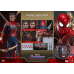 Avengers: Endgame - Iron Spider 1/6th Scale Hot Toys Action Figure