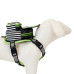 Beetlejuice - Cosplay Mini Backpack Dog Harness (Large)