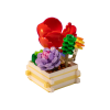 Succulent Garden - Scarlet Whisper (284 pc)