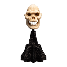 The Lord of the Rings - Skull of Lurtz Miniature Skull