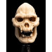 The Lord of the Rings - Skull of Lurtz Miniature Skull