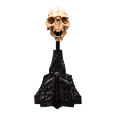 The Lord of the Rings - Skull of a Moria Orc Miniature Skull